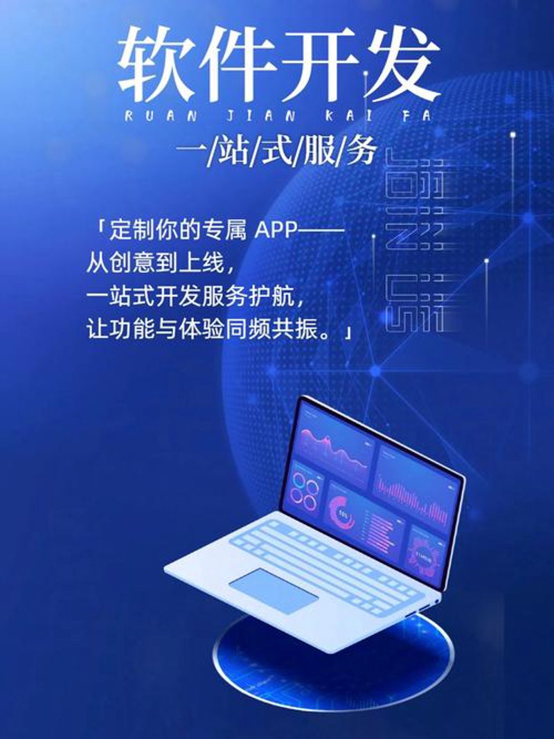 上海软件开发行业：数字化浪潮下的机遇与挑战